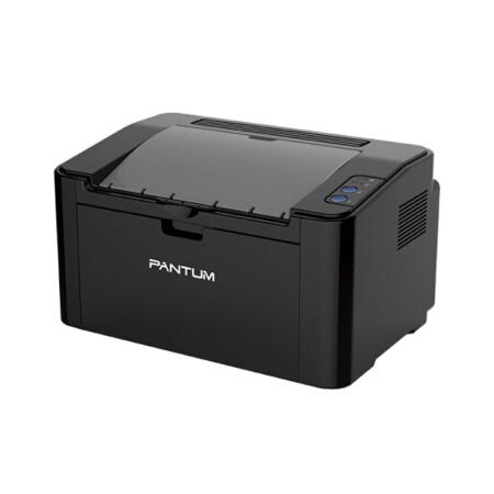 奔图（PANTUM） P2509 A4黑白激光打印机 （标配）  （单位：台）  