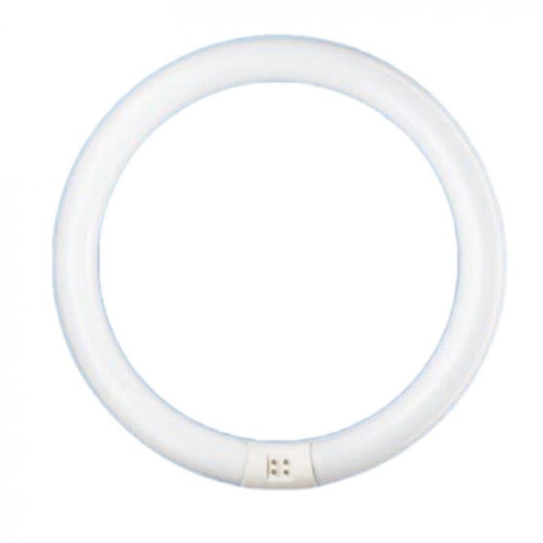 飞利浦（PHILIPS） T5/32W 环形灯管 荧光灯管 白光6500K T5细管32W外直径245mm  （单位：只）  