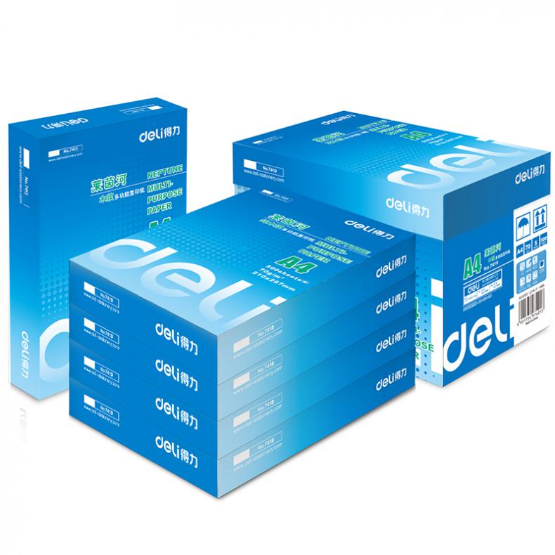 得力（deli） 7419 莱茵河复印纸 A4 80g 5包/箱 （单位：箱）  
