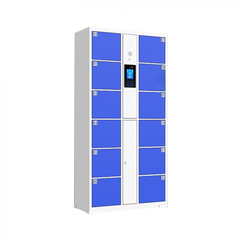 悦山（YUESHAN） YSOA6fo0112mL 12门人脸识别存包柜 850*460*1800mm（单位：组）