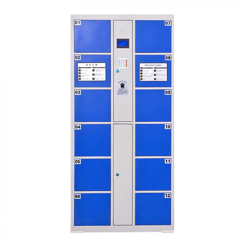 臻远 ZY-CBGA-14 智能储物柜 12门指纹款（单位：个） 颜色可选
