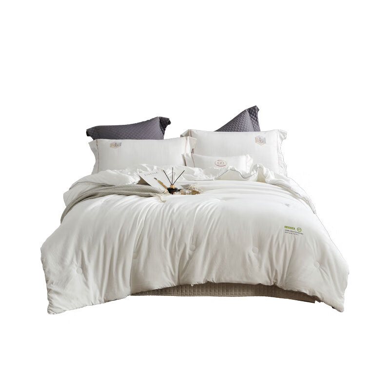 艾逸瑶选 JF-24141 卡莉娜抗菌亲肤冬被 200*230cm （单位：床）  白色