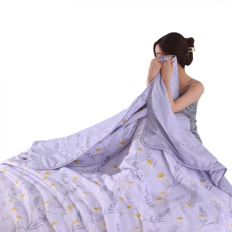 恒源祥（HYX）  HYX187BZ-DZ 大豆抗菌夏凉被 风起微香 200*230cm（单位：床） 礼袋装