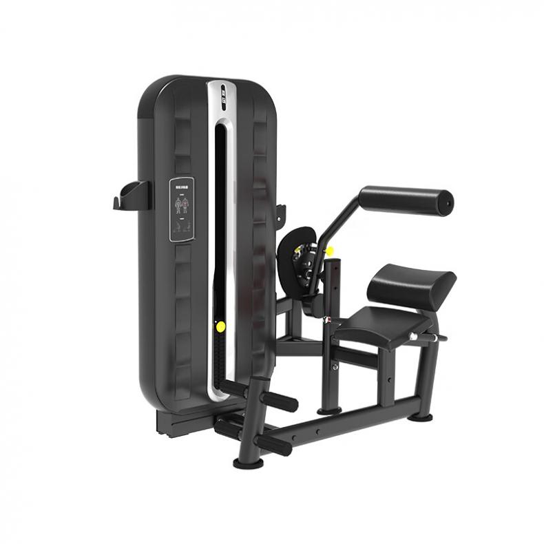 胜迈 SM-009 背肌训练器 1375*1040*1690mm（单位：台） 黑色
