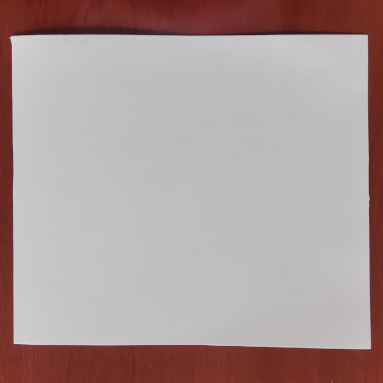  SL-LB 标签 220mm*260mm 10张/盒 （单位：盒）  白色