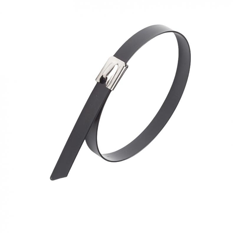 安赛瑞（SAFEWARE） 2A00362 喷塑304不锈钢扎带 4.6*500mm 100根/包 （单位：包）  黑色