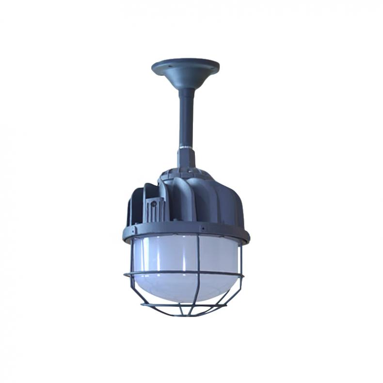 菲尼泰科（PHINITEC） GR-B100G LED防爆灯 吊杆 30W （单位：个）  