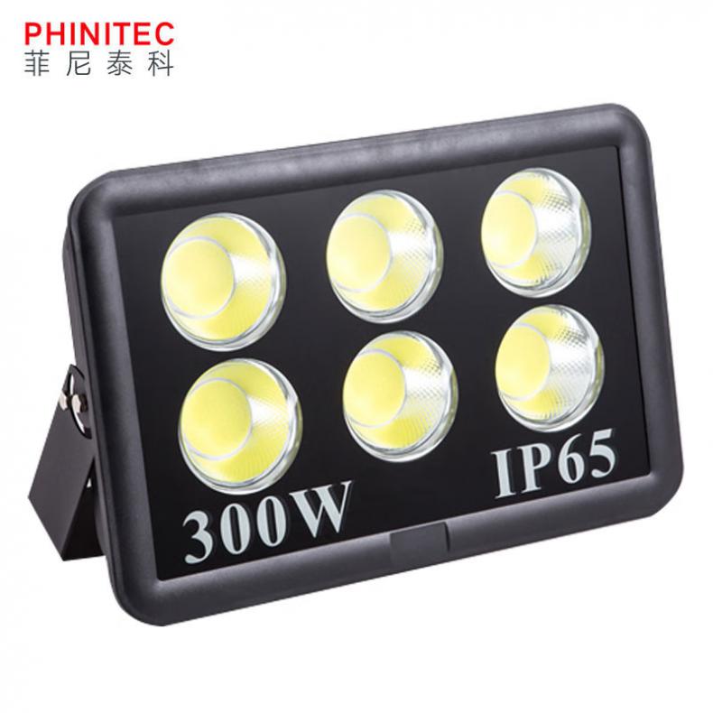 菲尼泰科（PHINITEC） PN-655 COB工程投光灯 300W （单位：个）  白光