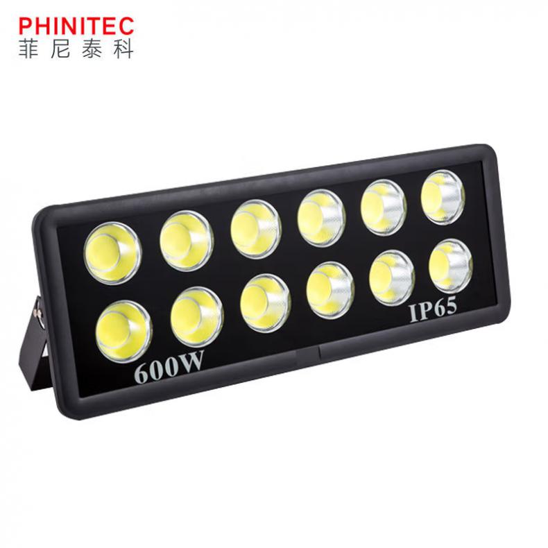 菲尼泰科（PHINITEC） PN-655 COB工程投光灯 600W （单位：个）  白光