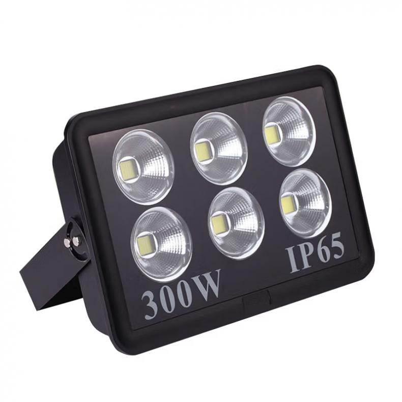 菲尼泰科（PHINITEC） PN-087 LED投光灯 300W （单位：个）  白光