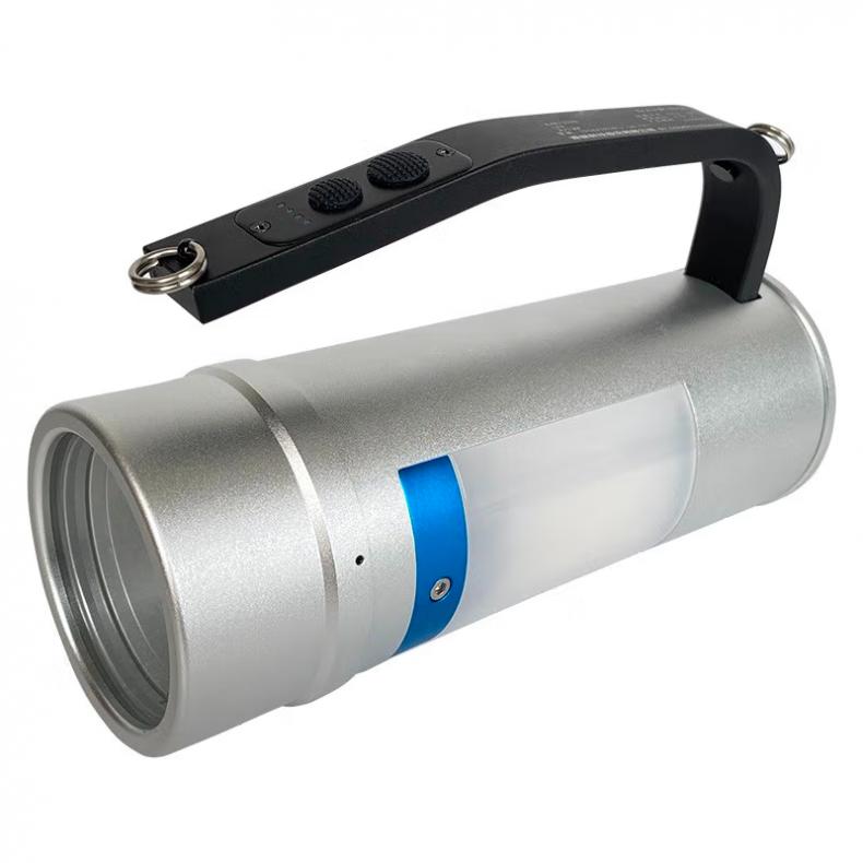 正辉（CHHI） BJW8311 防爆手提灯 2*12W （单位：盏）  银色