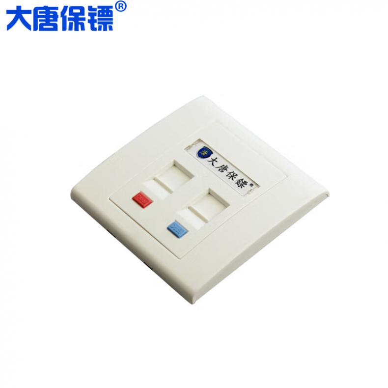 大唐保镖 DT2801-2 双口网络面板 86*86mm （单位：个）  