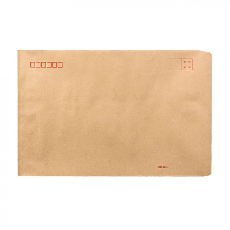 递乐 4609 牛皮纸信封 9号 100个/包 （单位：包）  