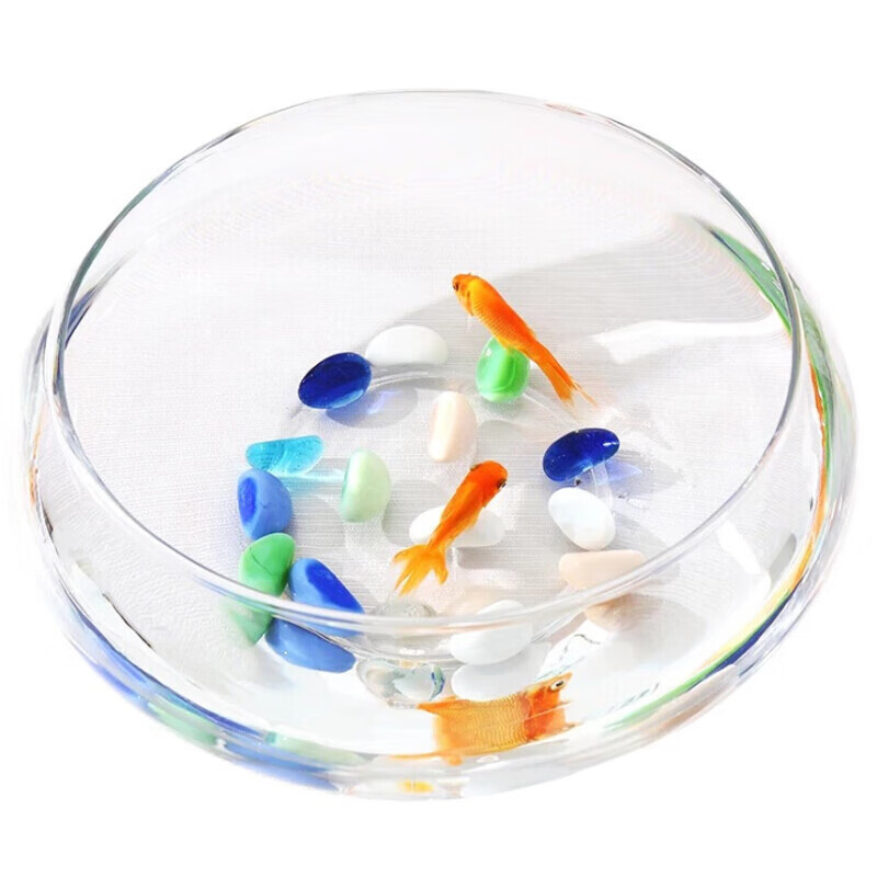 奥美优 透明玻璃 水仙花盆 10*24.5cm （单位：个）  