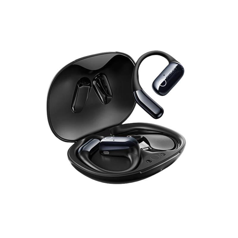 品胜（PISEN） BHD-TW14 O1降噪真无线蓝牙耳机 挂耳式 （单位：副）  黑色