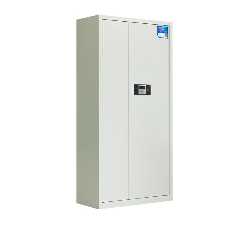 尔迈 通门内二斗 保险资料柜 900*420*1850mm （单位：个）  灰白色