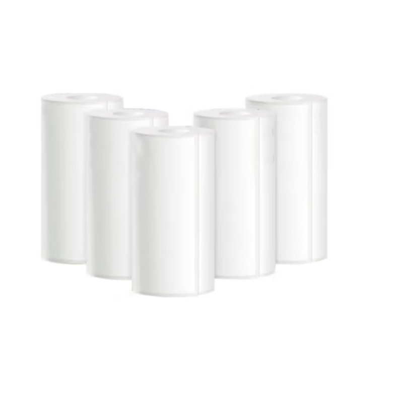 龙仕康 LSK76213 不干胶三防无管芯标签纸 76*213 50张/卷 100卷/箱 （单位：箱）  