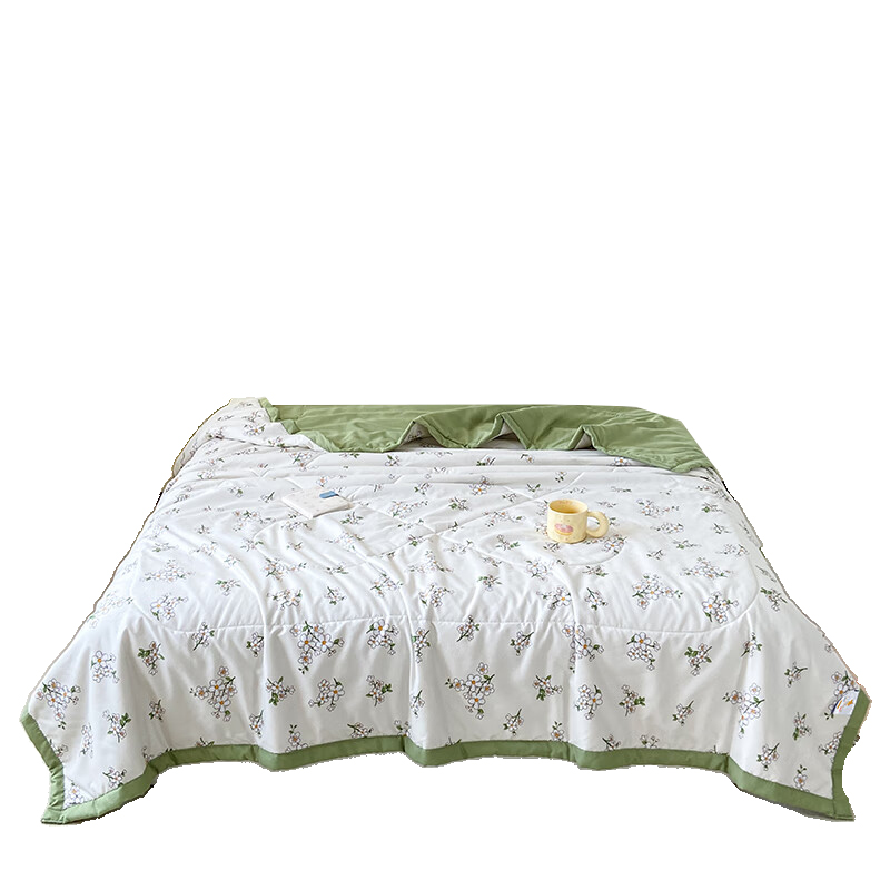 洁丽雅（Grace） JLY-1002 春语润肤被 150*200cm 800g （单位：套）