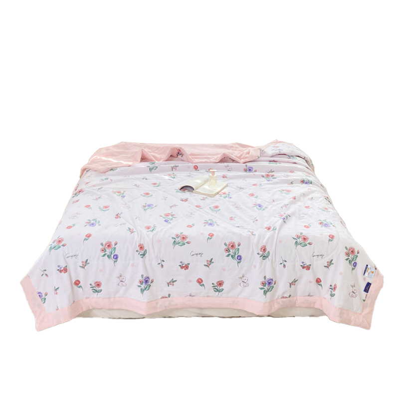 洁丽雅（Grace） JLY-1004 枝蔓水洗棉被 200*230cm 1200g （单位：套）  
