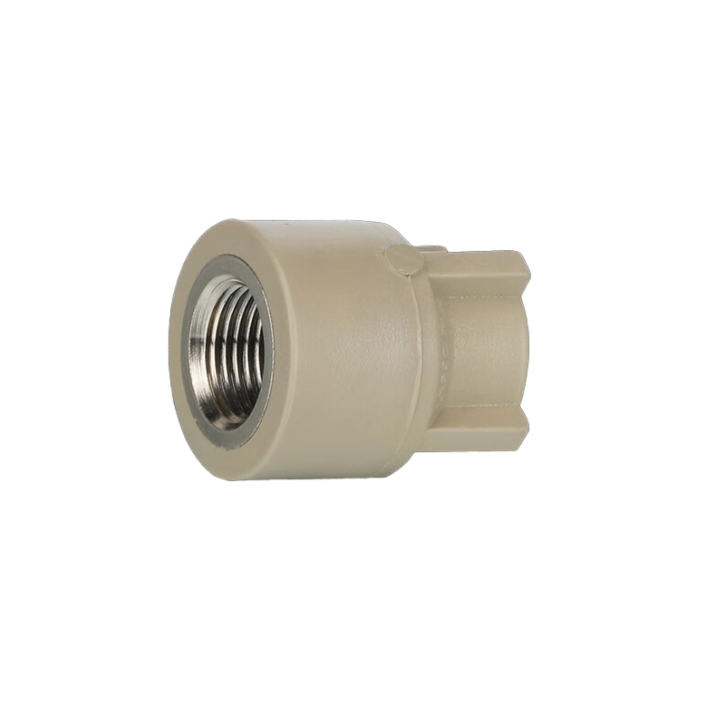 联塑（LESSO） dn20X1/2＂ 内螺纹直接头 4分 2个/组 （单位：组） 灰色