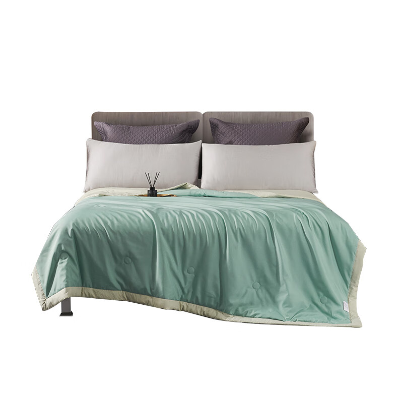 艾逸瑶选 JF-24110 克莱恩抗菌被 200*230cm （单位：床）  