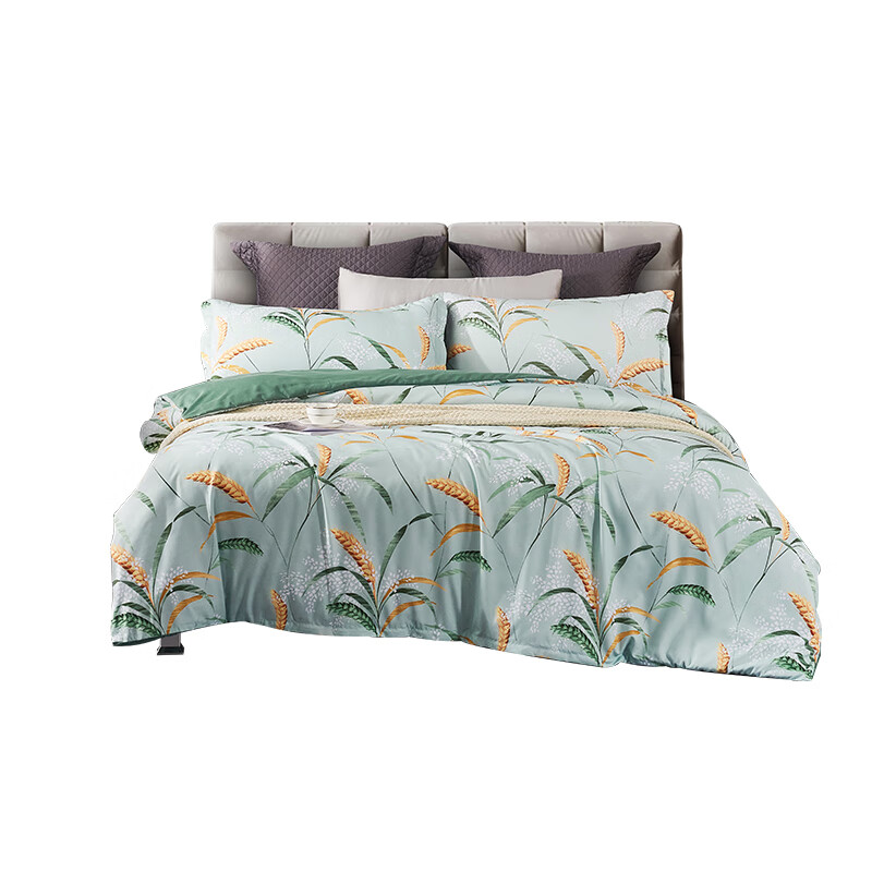 艾逸瑶选 JF-24118 韦伯亲肤磨毛四件套 被套200*230cm+床单230*245cm+枕套48*74cm*2 （单位：套）  