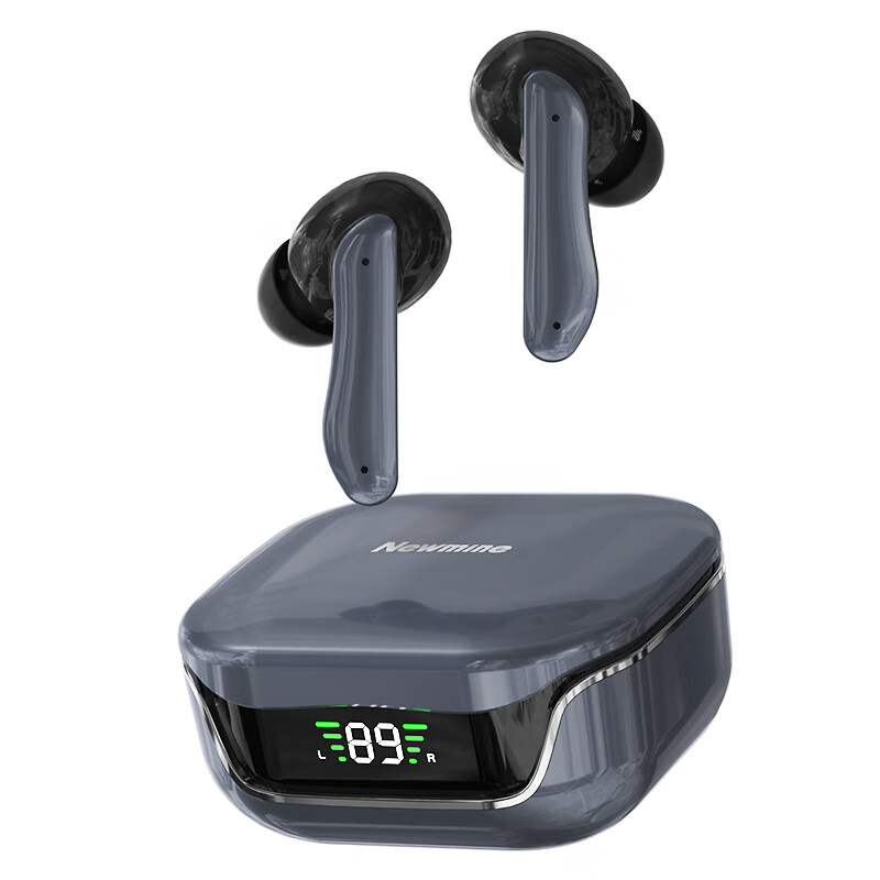 纽曼（Newsmy） LY10 真无线蓝牙耳机 Bluetooth V5.3 （单位：副）  黑色