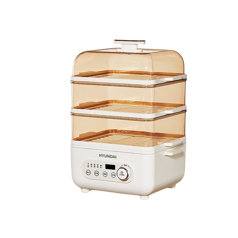 现代（HYUNDAI） AEM-DZG6 电蒸锅 20L （单位：台）  