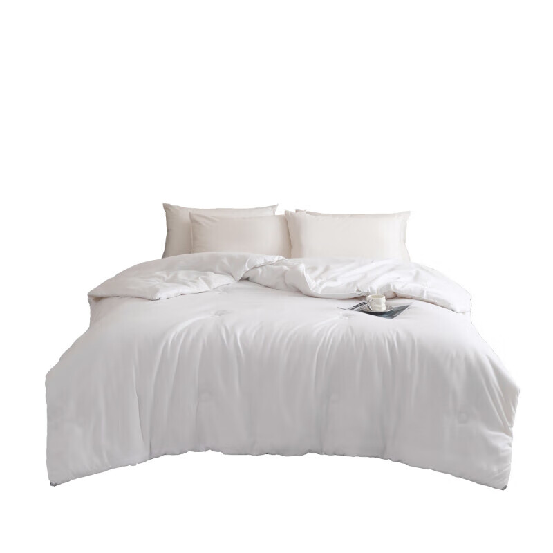 艾逸瑶选 JF-24147 亲肤纤维棉四季被 200*230cm （单位：床）  