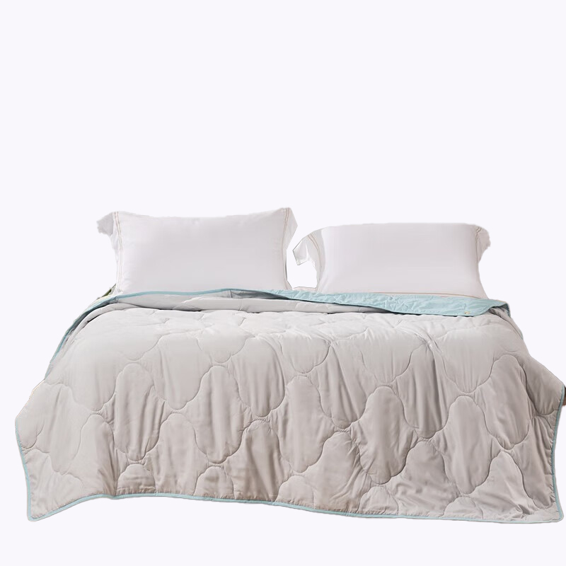 富安娜（FUANNA） 兰语 净柔夏被 203*229cm （单位：床）  颜色随机