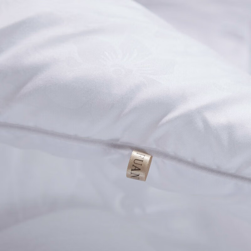 富安娜（FUANNA） 健康安梦 七孔抗菌大豆被 203*229cm （单位：床）  白色