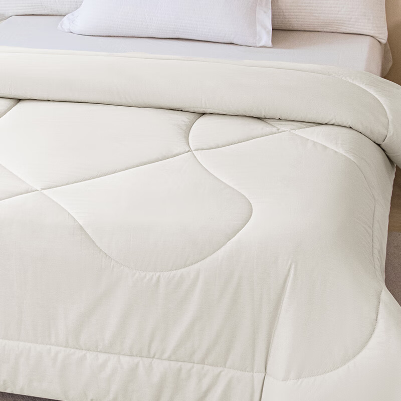 金丝莉（KINTHERI） JB-1372 舒服家美肤被 150*210cm （单位：床）  