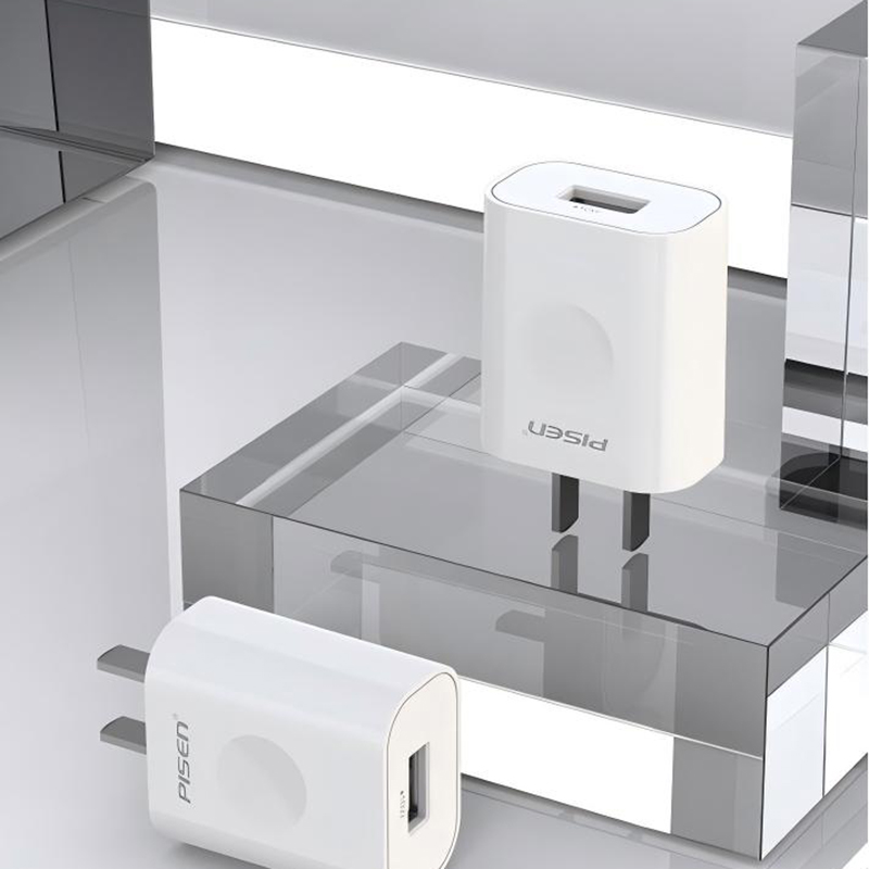 品胜 TS-C134 直脚充电器 （单位：个）