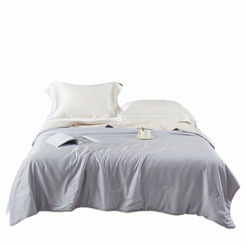 金丝莉（KINTHERI） JB-1306 美拉德蚕丝被 180*210cm （单位：床）  