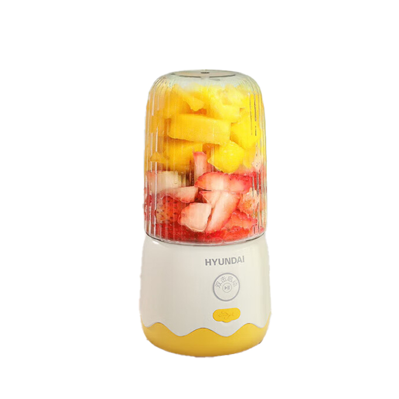 HYUNDAI HY-008 果汁机 300ml （单位：个）  