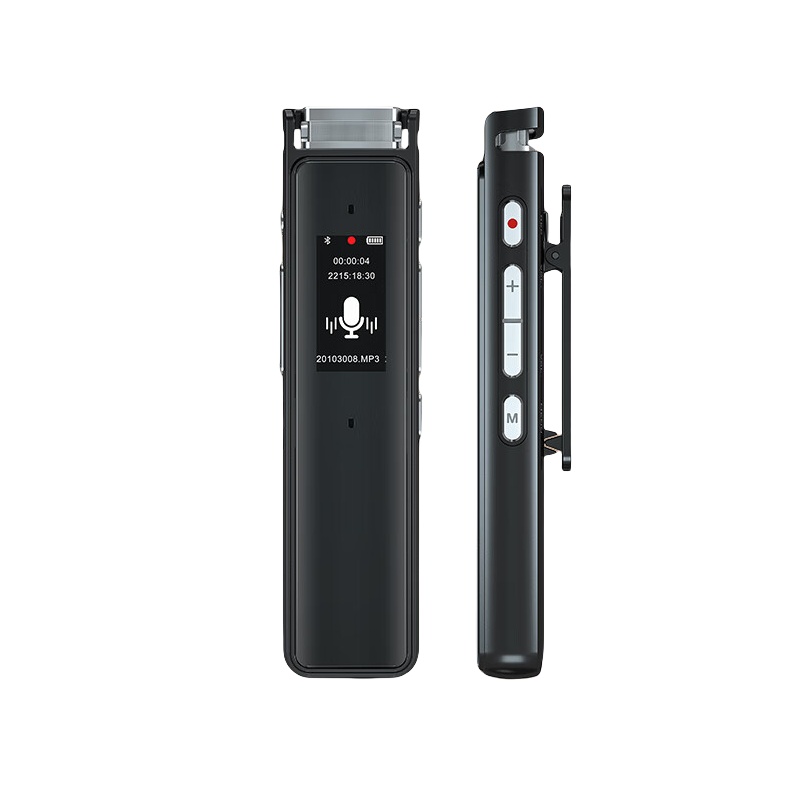 纽曼（Newsmy） A13 专业录音笔 64G （单位：支）  