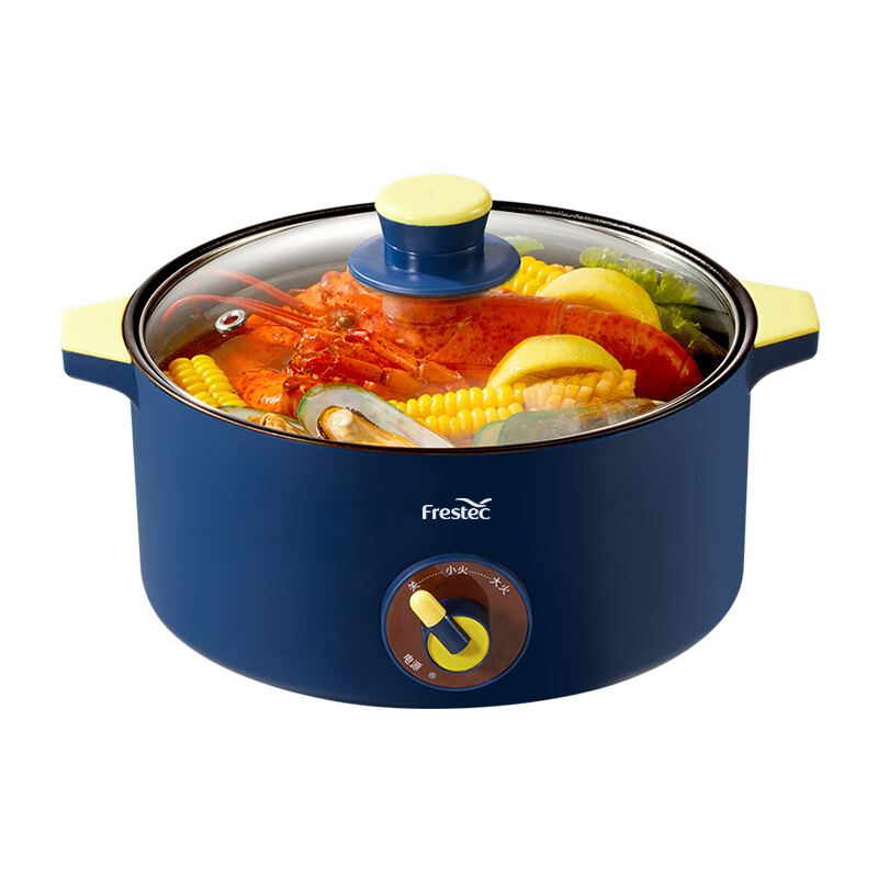 新飞（Frestec） FTHG-R060 电火锅 3L （单位：个）  
