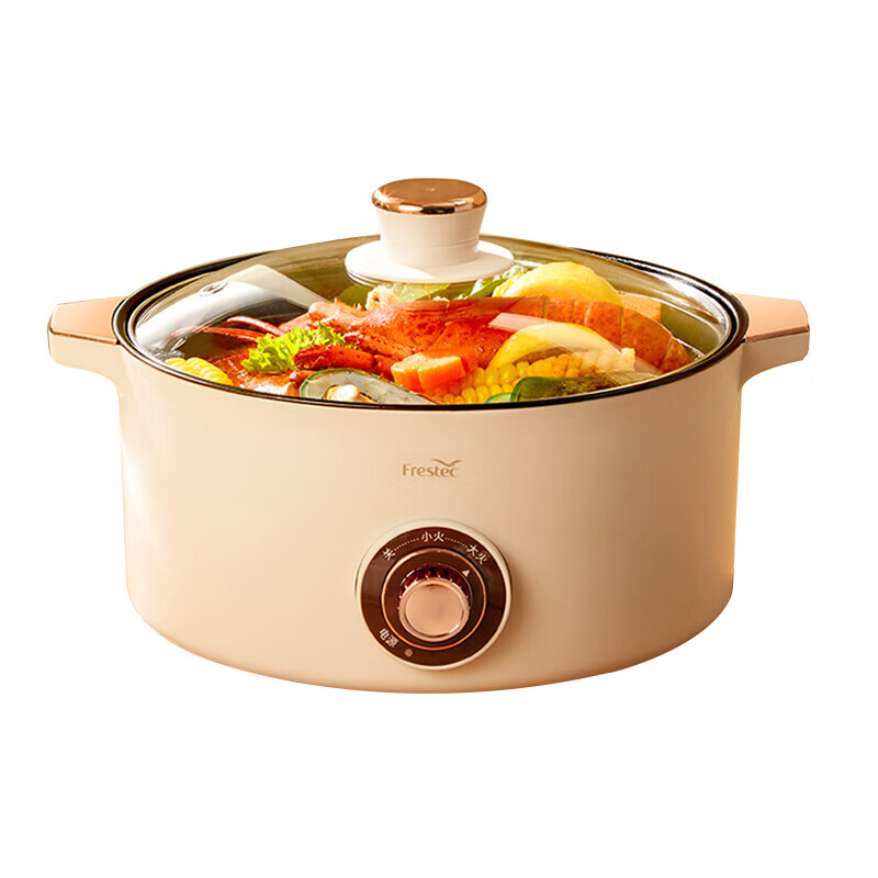新飞（Frestec） THG-R061 电火锅 3L （单位：个）  
