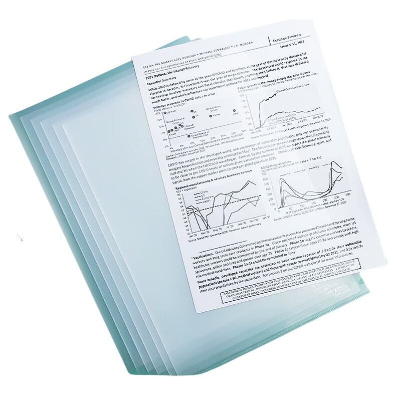 晨光（M&G） ADM92968 A4L型文件套 100片/包 6包/组 （单位：组）  透明