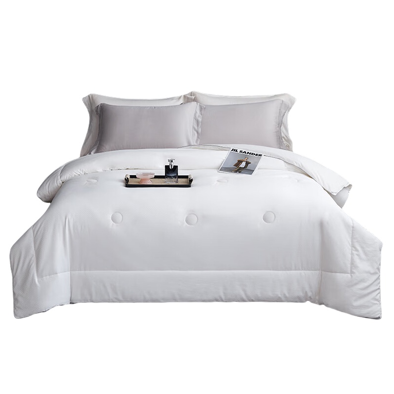 大嘴猴（Paul Frank） PFFCS240426U 绒羊毛3D被 200*230cm 3200g （单位：床）