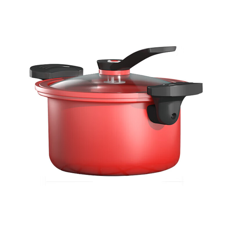 都市太太（DSTT） 22cm 微压焖烧锅 （单位：个）