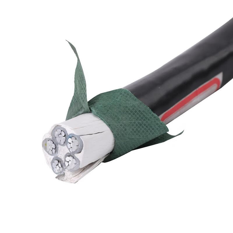 起帆（QIFAN） YJLV-0.6/1kV 铝芯线电缆线 2芯 16平方 （单位：米）