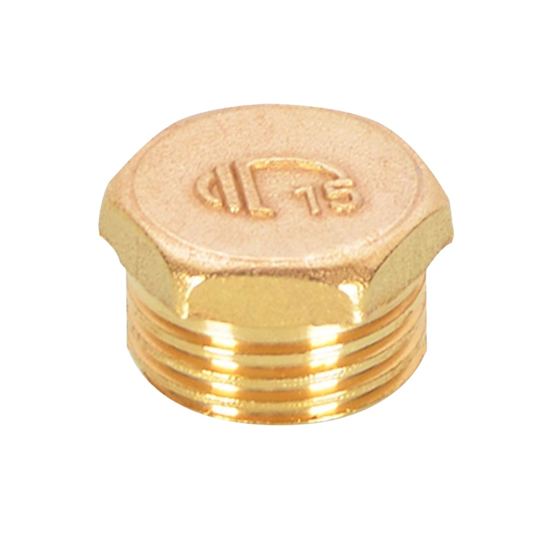 冰禹 BJyl-313 外丝铜堵头 4分 （单位：个）