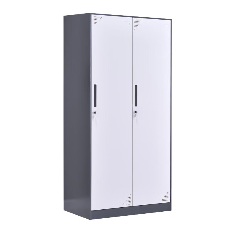 臻远 ZY-SY-40 钢制窄边二门更衣柜 90*50*185cm （单位：台） 灰白套色