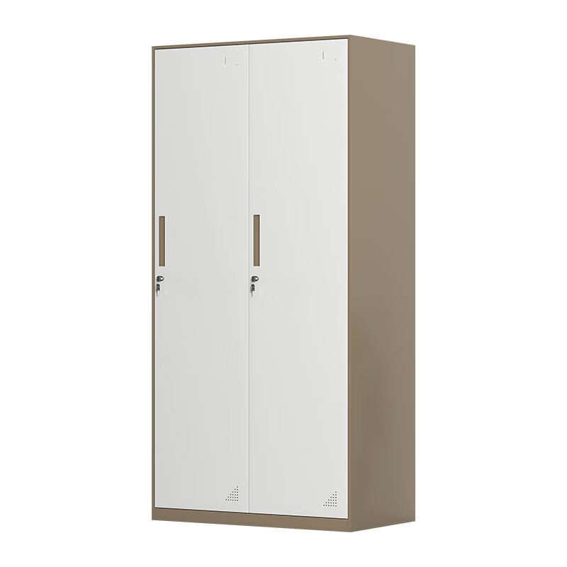 臻远 ZY5061801 拆装二门更衣柜 90*50*185cm （单位：台） 咖白套色