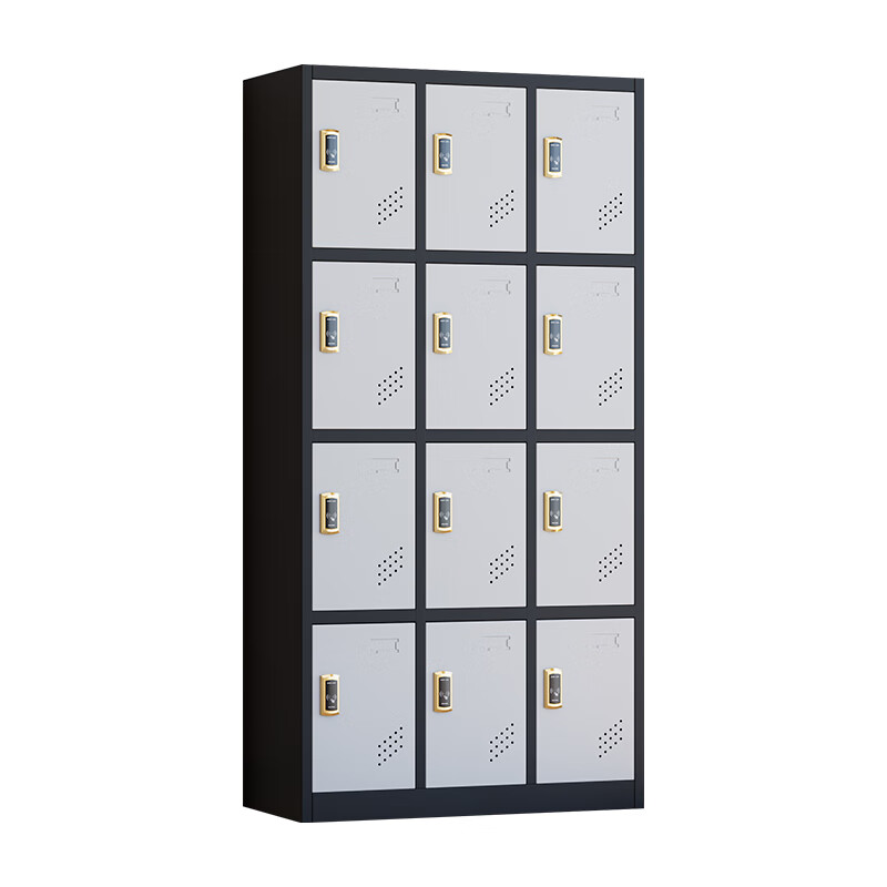 臻远 ZY5062031 铁皮更衣柜感应锁 12门 90*42*180cm （单位：台） 黑框白门