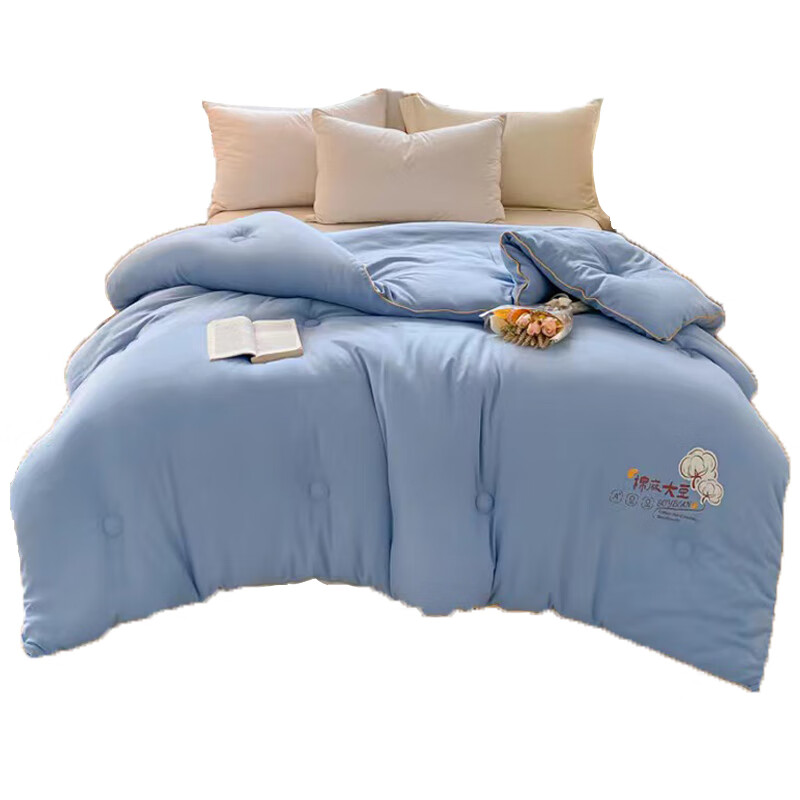 蕾琳芙娜 LFN3631 A类母婴级双层纱棉麻大豆冬被 200cm*230cm （单位：床） 颜色随机