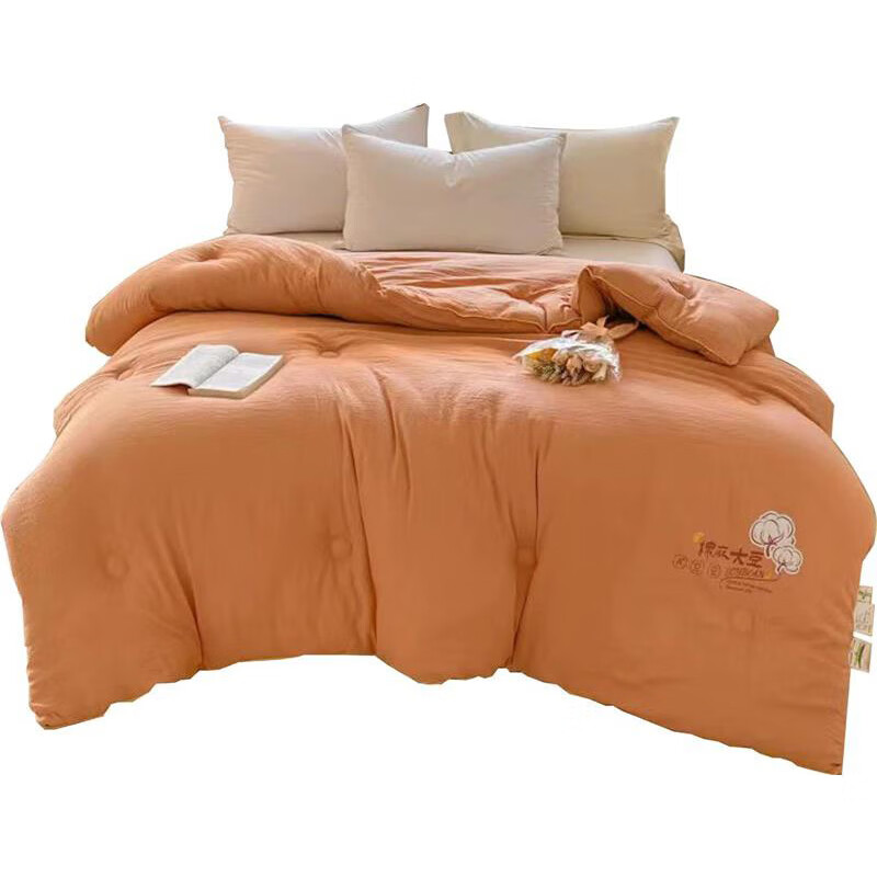 蕾琳芙娜 LFN3621 A类母婴级双层纱棉麻大豆四季被 200cm*230cm （单位：床） 颜色随机