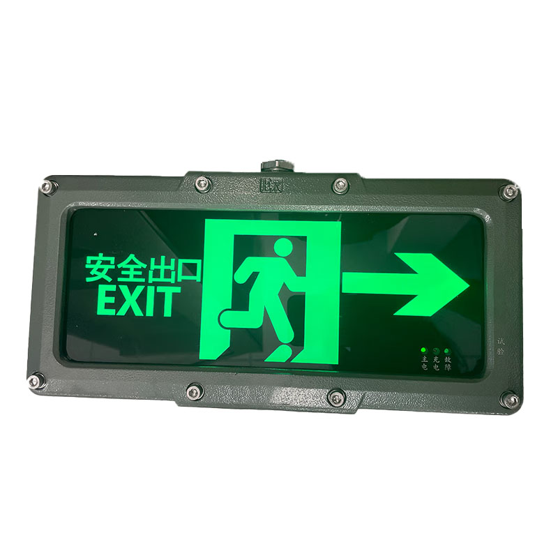 HXHX HXHX-B8119 LED应急标志灯 6W IP66 AC220V （单位：盏） 充电：48h 放电：&ge;120min 银色