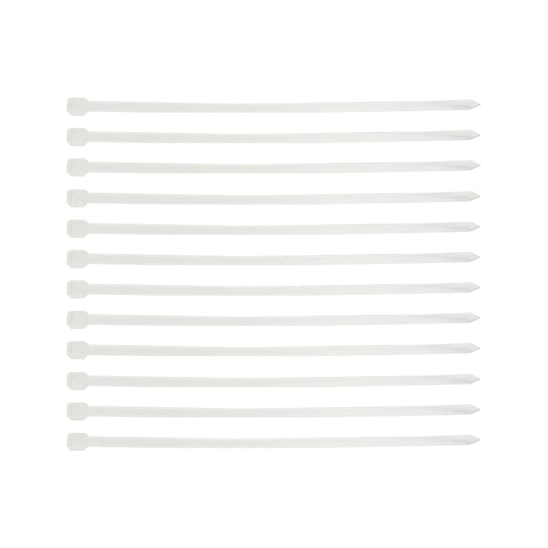 包尔星克（PowerSync） AMSTG0001B 自锁式尼龙扎线带 2.5mm*100mm  100个/包 （单位：包） 白色